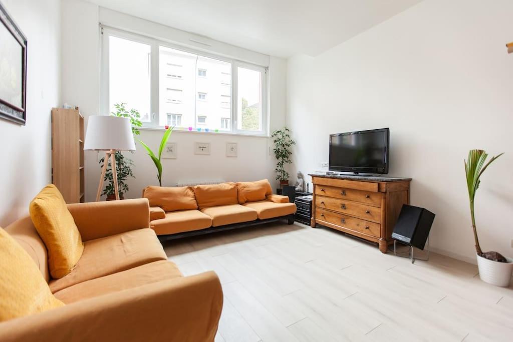 R-Appartements Strasbourg Cosy Orangerie Pour Vos Sejours En Famille Ou Entre Amis מראה חיצוני תמונה