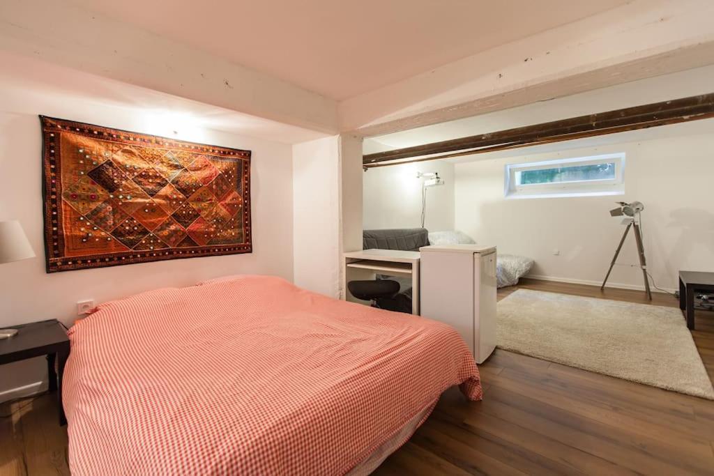 R-Appartements Strasbourg Cosy Orangerie Pour Vos Sejours En Famille Ou Entre Amis מראה חיצוני תמונה